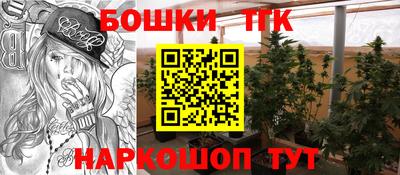 apvp Пушкино